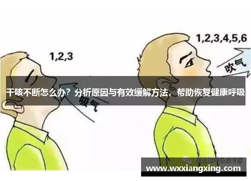 干咳不断怎么办？分析原因与有效缓解方法，帮助恢复健康呼吸