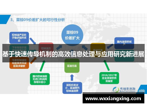 基于快速传导机制的高效信息处理与应用研究新进展